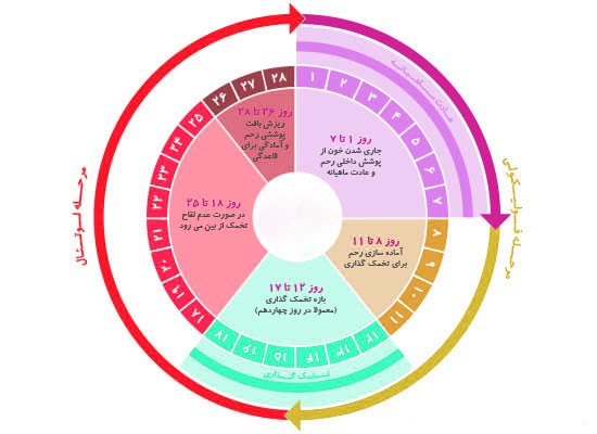 عقب افتادن پریودی