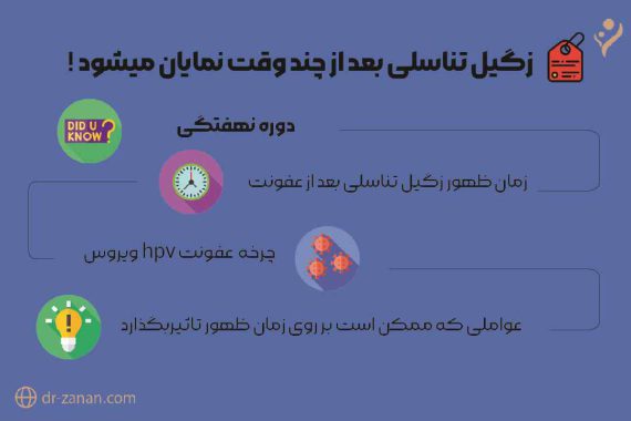 زگیل تناسلی بعد از چند وقت نمایان میشود؟